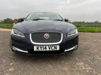 Used Jaguar XF Portfolio 200 HP (147 kW) 2014 Red Sedan