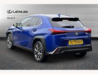 Used Lexus UX 300h Sport Design Packet 199 HP (146 kW) 2025 Azure blue SUV