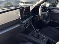 Used Cupra Leon 150 HP (110 kW) 2025 White Hatchback