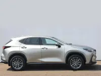 Used Lexus NX350h 2023 Silver SUV