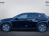 Used Lexus UX 150 kW (204 HP) 2024 SUV