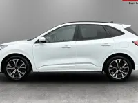 Used Ford Kuga ST-Line X 190 HP (139 kW) 2023 White SUV