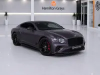 Used Bentley Continental 550 HP (404 kW) 2024 Purple Coupe