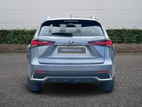 Used Lexus NX300h Sport Line 2021 Grey SUV