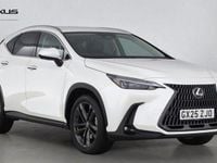 Used Lexus NX450h+ 2025 White SUV