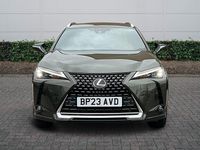 Used Lexus UX 250h 2023 Green SUV