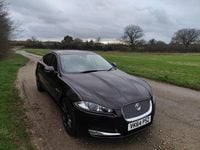 Used Jaguar XF Premium Luxury 2014 Red Sedan