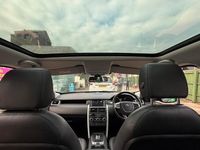 Used Land Rover Discovery Sport HSE Luxury 179 HP (131 kW) 2019 SUV