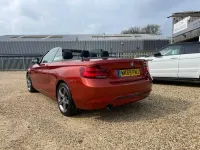 Usado BMW 218 Sport Line 2019 Naranja Descapotable
