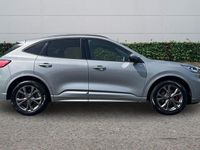 Used Ford Kuga ST-Line 2023 Silver SUV