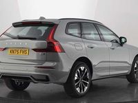 Used Volvo XC60 Plus 247 HP (181 kW) 2026 SUV