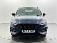 Used Ford Kuga ST-Line 225 HP (165 kW) 2022 Blue SUV
