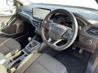 Used Ford Focus ST-Line 123 HP (90 kW) 2023 Grey Hatchback