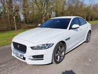 Used Jaguar XE R-Sport 180 HP (132 kW) 2015 Sedan