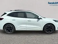 Used Ford Kuga ST-Line X 180 HP (132 kW) 2026 White SUV