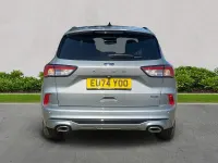 Used Ford Kuga ST-Line X 2024 Silver SUV