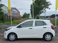 Used Kia Picanto 2023 White Hatchback