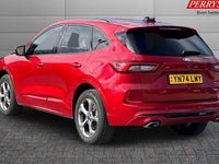 Used Ford Kuga ST-Line 242 HP (177 kW) 2025 SUV