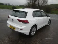 Used VW Golf VIII Life 115 HP (84 kW) 2022 White Hatchback
