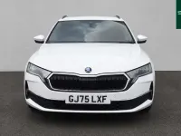 Used Skoda Octavia SE Technology 113 HP (83 kW) 2025 Moon white metallic Estate