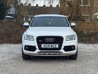 Used Audi SQ5 Design 2015 White SUV