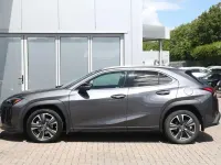 Used Lexus UX 250h 180 HP (132 kW) 2023 Grey SUV