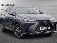 Used Lexus NX350h 243 HP (178 kW) 2025 Grey SUV