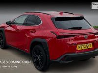 Used Lexus UX 250h 184 HP (135 kW) 2024 SUV