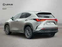 Used Lexus NX450h+ 2025 Silver SUV