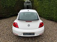 Used VW Beetle Design 160 HP (117 kW) 2012 White Hatchback