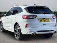 Used Ford Kuga ST-Line X 190 HP (139 kW) 2023 SUV