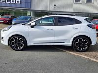 Used Ford Puma ST-Line X 125 HP (91 kW) 2023 White Hatchback