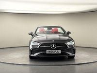 Used Mercedes CLE220 AMG Line Premium Plus 197 HP (144 kW) 2025 Grey Cabriolet