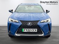 Used Lexus UX 150 kW (204 HP) 2022 Blue SUV