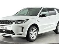 Used Land Rover Discovery Sport S 204 HP (150 kW) 2024 White SUV