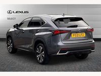 Used Lexus NX300h Sport Line 197 HP (144 kW) 2021 Grey SUV