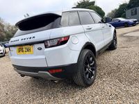 Used Land Rover Range Rover evoque SE 2016 White Estate