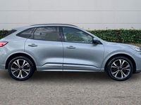 Used Ford Kuga ST-Line X 2023 Silver SUV