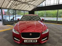 Used Jaguar XF R-Sport 180 HP (132 kW) 2017 Red Sedan