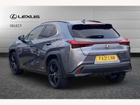 Used Lexus UX 250h Sport Line 184 HP (135 kW) 2021 Grey SUV