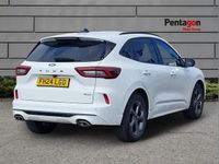 Used Ford Kuga ST-Line 177 HP (130 kW) 2024 White SUV
