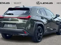 Used Lexus UX 250h 184 HP (135 kW) 2024 SUV