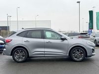 Used Ford Kuga ST-Line 2023 Silver SUV