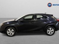 Used Lexus UX 250h 184 HP (135 kW) 2024 SUV