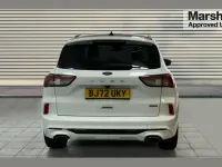 Used Ford Kuga ST-Line X 225 HP (165 kW) 2022 White SUV