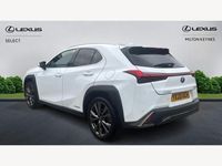 Used Lexus UX Sport Line 2020 White SUV