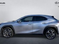 Used Lexus UX 300h 199 HP (146 kW) 2025 SUV