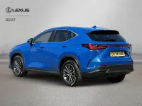 Used Lexus NX450h+ 2024 Blue SUV