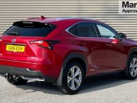 used Lexus NX300h Premier