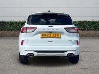 Used Ford Kuga ST-Line X 2023 White SUV